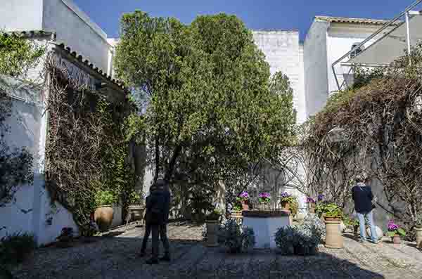 Córdoba 263 - palacio de Viana - patio del Pozo.jpg
